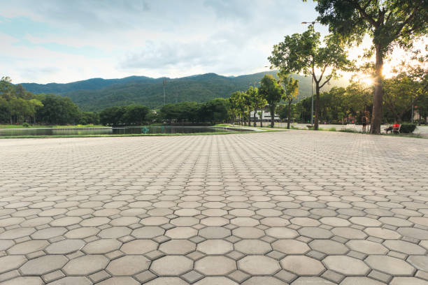 Best Professional Driveway Pavers  in Clarkston, WA